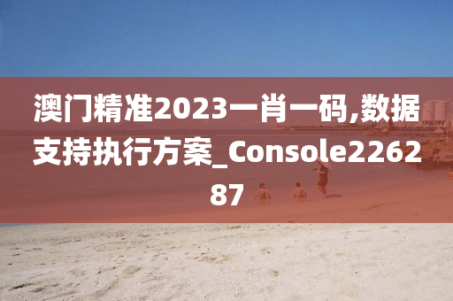 澳门精准2023一肖一码,数据支持执行方案_Console226287