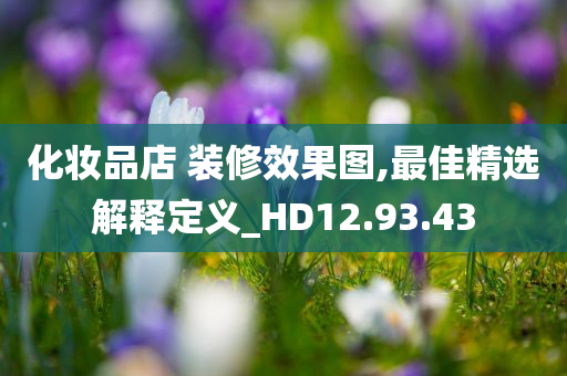 化妆品店 装修效果图,最佳精选解释定义_HD12.93.43