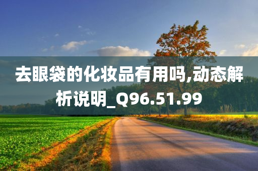 去眼袋的化妆品有用吗,动态解析说明_Q96.51.99