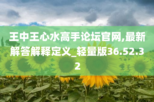 王中王心水高手论坛官网,最新解答解释定义_轻量版36.52.32