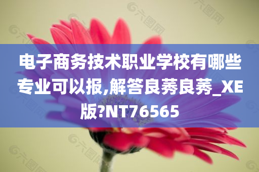 电子商务技术职业学校有哪些专业可以报,解答良莠良莠_XE版?NT76565