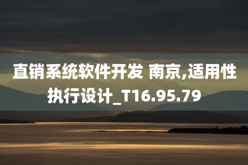 直销系统软件开发 南京,适用性执行设计_T16.95.79