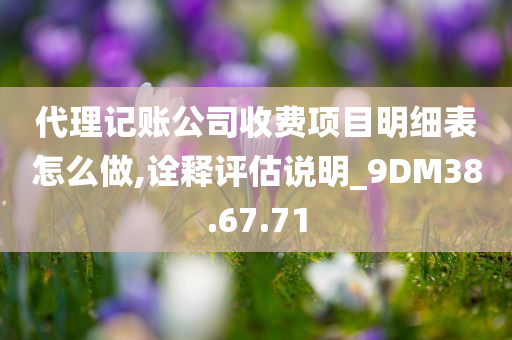 代理记账公司收费项目明细表怎么做,诠释评估说明_9DM38.67.71