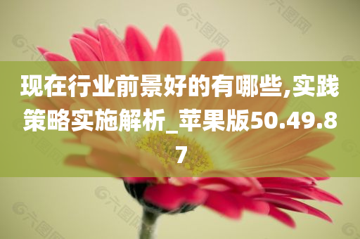 现在行业前景好的有哪些,实践策略实施解析_苹果版50.49.87