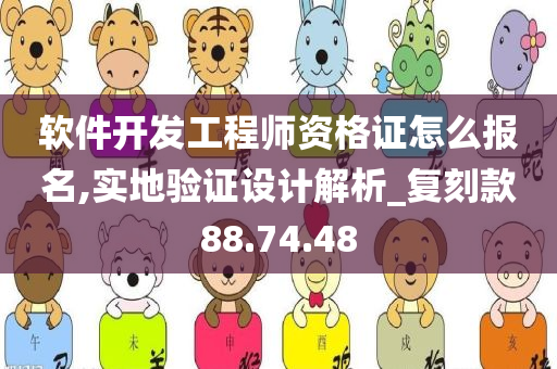 软件开发工程师资格证怎么报名,实地验证设计解析_复刻款88.74.48