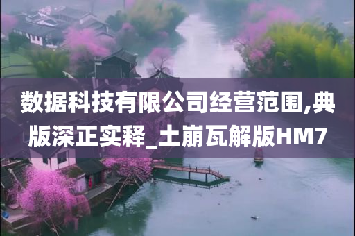 数据科技有限公司经营范围,典版深正实释_土崩瓦解版HM7