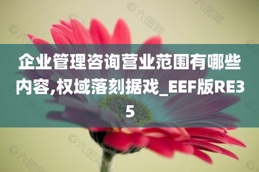 企业管理咨询营业范围有哪些内容,权域落刻据戏_EEF版RE35