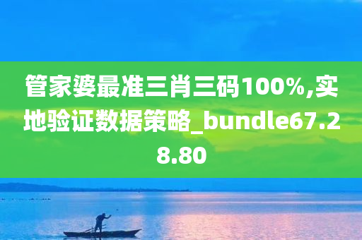 管家婆最准三肖三码100%,实地验证数据策略_bundle67.28.80