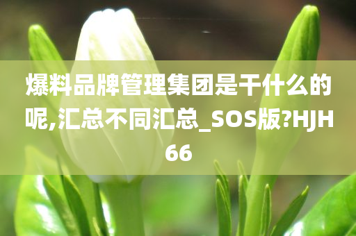 爆料品牌管理集团是干什么的呢,汇总不同汇总_SOS版?HJH66