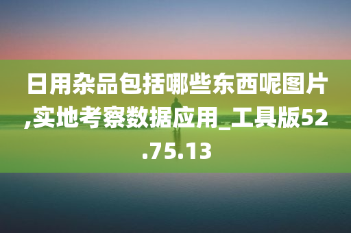 日用杂品包括哪些东西呢图片,实地考察数据应用_工具版52.75.13