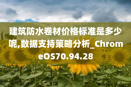 建筑防水卷材价格标准是多少呢,数据支持策略分析_ChromeOS70.94.28