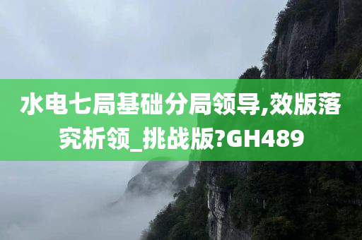 水电七局基础分局领导,效版落究析领_挑战版?GH489