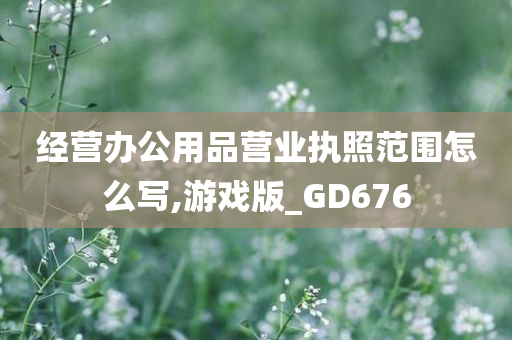 经营办公用品营业执照范围怎么写,游戏版_GD676