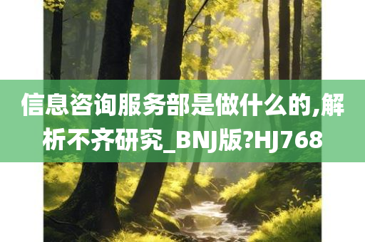 信息咨询服务部是做什么的,解析不齐研究_BNJ版?HJ768