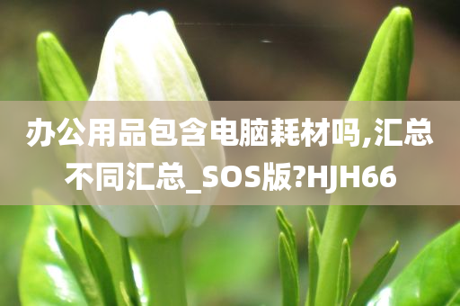 办公用品包含电脑耗材吗,汇总不同汇总_SOS版?HJH66