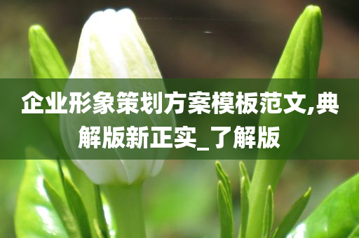 企业形象策划