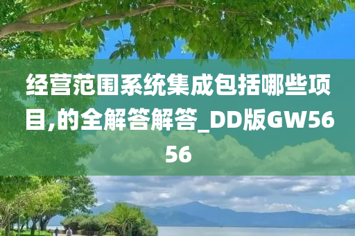 经营范围系统集成包括哪些项目,的全解答解答_DD版GW5656