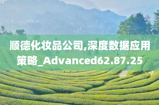 顺德化妆品公司,深度数据应用策略_Advanced62.87.25