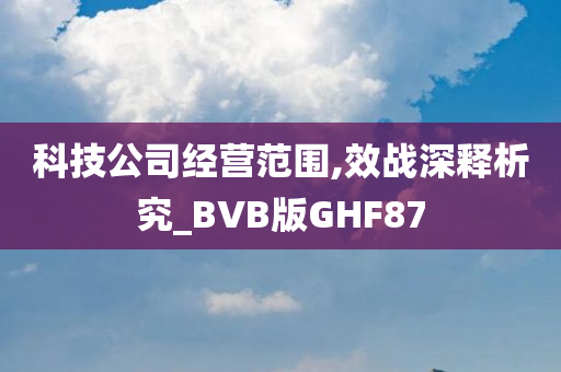 科技公司经营范围,效战深释析究_BVB版GHF87