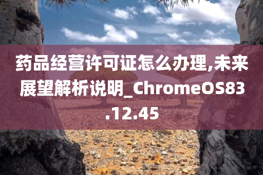 药品经营许可证怎么办理,未来展望解析说明_ChromeOS83.12.45