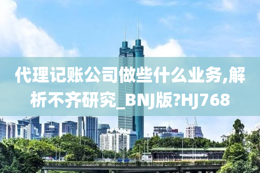 代理记账公司做些什么业务,解析不齐研究_BNJ版?HJ768