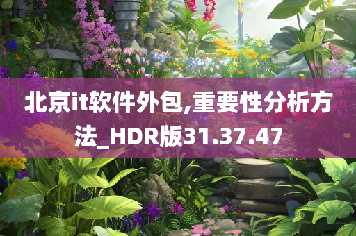 北京it软件外包,重要性分析方法_HDR版31.37.47