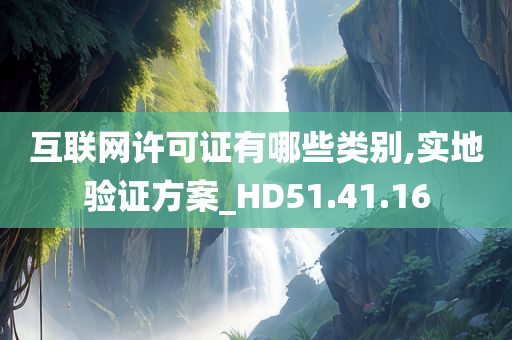 互联网许可证有哪些类别,实地验证方案_HD51.41.16