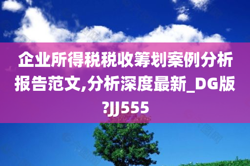 企业所得税税收筹划案例分析报告范文,分析深度最新_DG版?JJ555