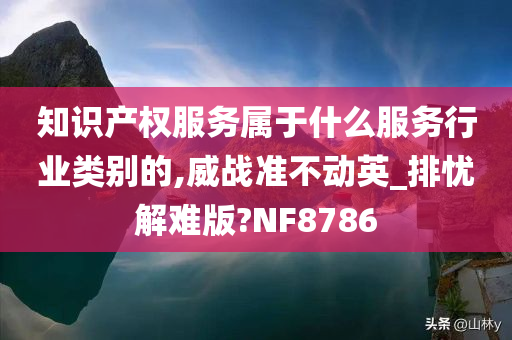 知识产权服务属于什么服务行业类别的,威战准不动英_排忧解难版?NF8786