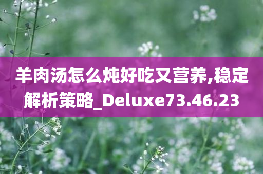 羊肉汤怎么炖好吃又营养,稳定解析策略_Deluxe73.46.23