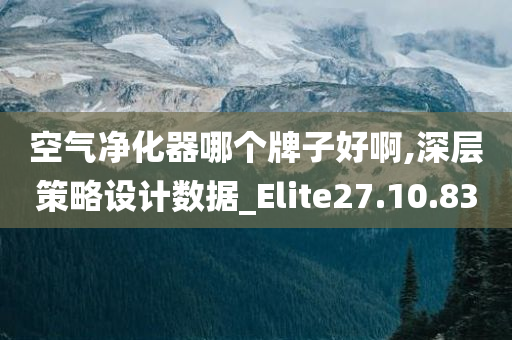 空气净化器哪个牌子好啊,深层策略设计数据_Elite27.10.83