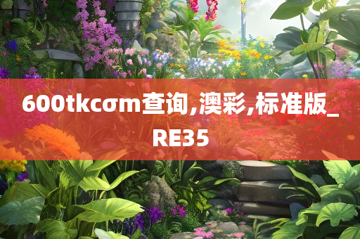 600tkcσm查询,澳彩,标准版_RE35