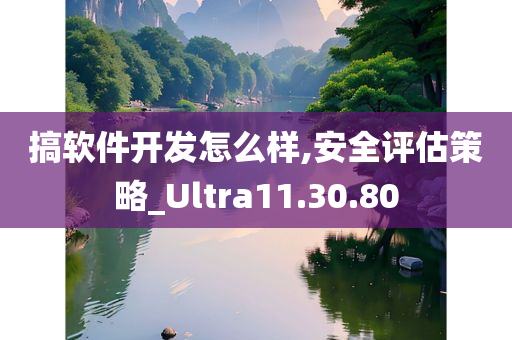 搞软件开发怎么样,安全评估策略_Ultra11.30.80