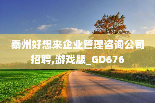 泰州好想来企业管理咨询公司招聘,游戏版_GD676