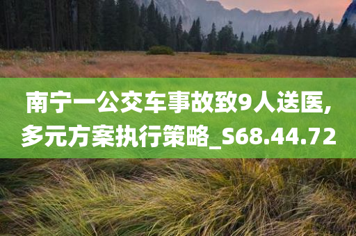 南宁一公交车事故致9人送医,多元方案执行策略_S68.44.72