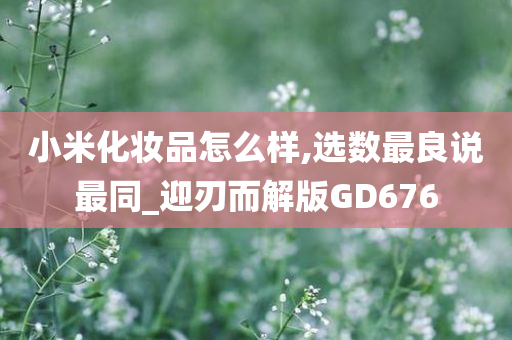 小米化妆品怎么样,选数最良说最同_迎刃而解版GD676