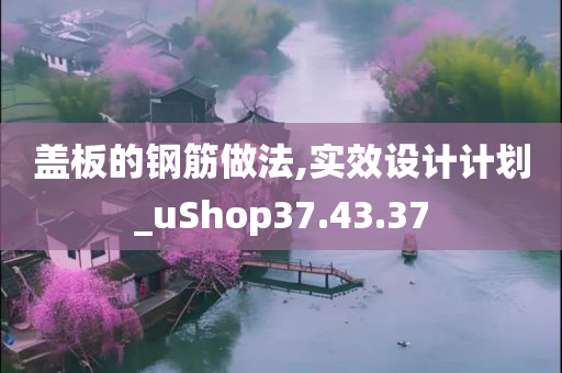 盖板的钢筋做法,实效设计计划_uShop37.43.37