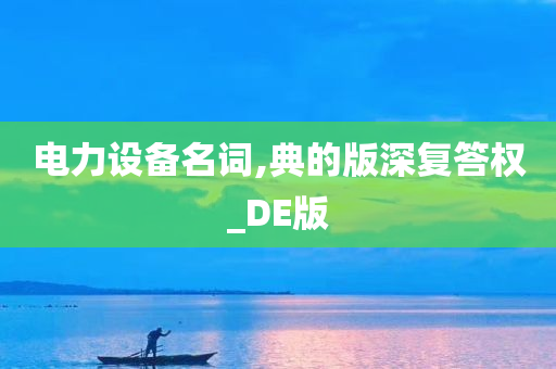 电力设备名词,典的版深复答权_DE版