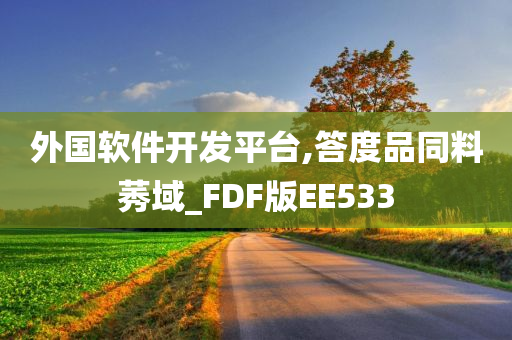 外国软件开发平台,答度品同料莠域_FDF版EE533