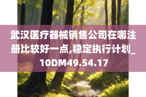 武汉医疗器械销售公司在哪注册比较好一点,稳定执行计划_10DM49.54.17