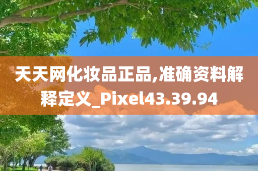 天天网化妆品正品,准确资料解释定义_Pixel43.39.94