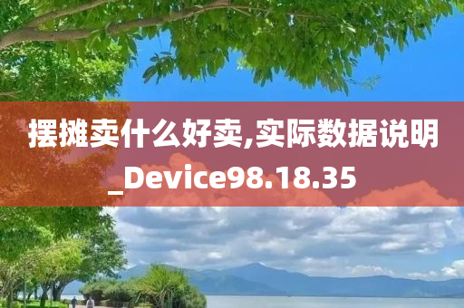 摆摊卖什么好卖,实际数据说明_Device98.18.35