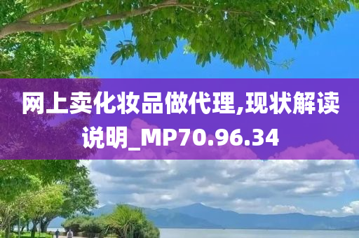 网上卖化妆品做代理,现状解读说明_MP70.96.34