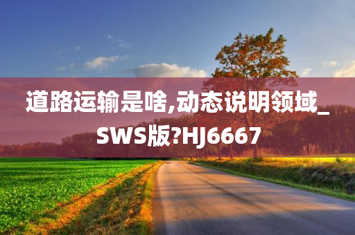 道路运输是啥,动态说明领域_SWS版?HJ6667