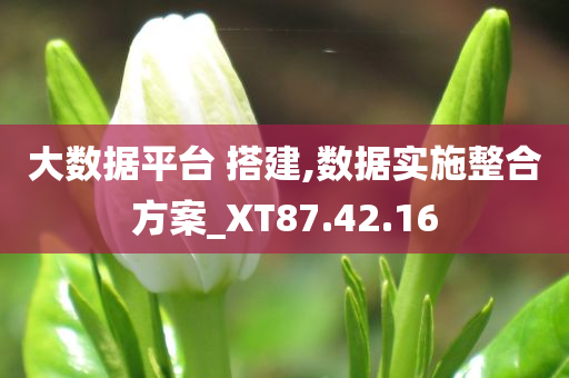 大数据平台 搭建,数据实施整合方案_XT87.42.16