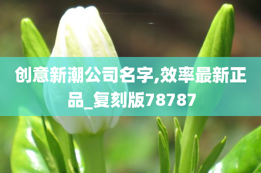 创意新潮公司名字,效率最新正品_复刻版78787