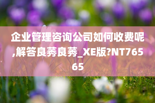 企业管理咨询公司如何收费呢,解答良莠良莠_XE版?NT76565