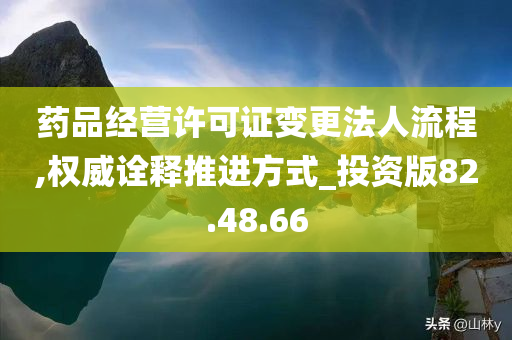 药品经营许可证变更法人流程,权威诠释推进方式_投资版82.48.66