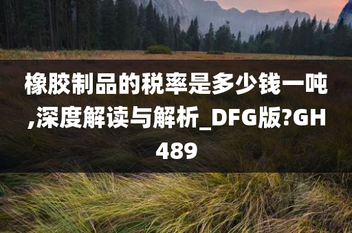 橡胶制品的税率是多少钱一吨,深度解读与解析_DFG版?GH489