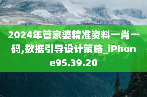 2024年管家婆精准资料一肖一码,数据引导设计策略_iPhone95.39.20